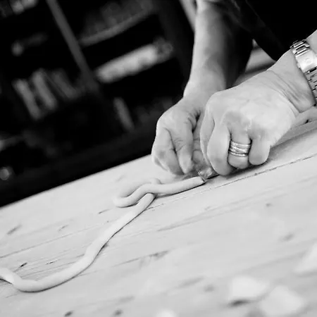 ファームステイ Matine Lucugnano